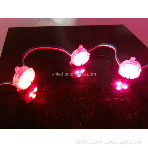 Permanent Intelligent Indoor/Outdoor Red Blue Yellow Christmas LED Decorative Light String